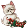 🐈