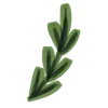 🍃