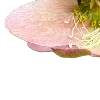 🌺
