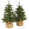 🎄