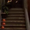 🍂
