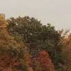 🍂