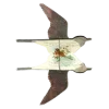 🕊️