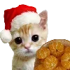 🐱