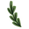 🍃