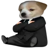 😎