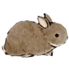 🐰