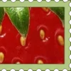 🍓