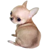 🐕