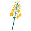 🌾