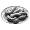 🍽
