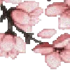 🌸