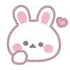 🐰