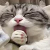 😝