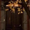 🍂