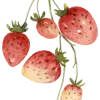 🍓