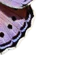 🦋