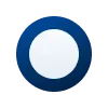 🔵