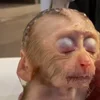 🛁