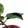 🍎