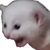 😱