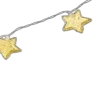 🌟