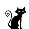 🐈‍⬛