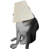 🌑