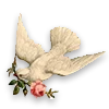 🕊