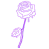 🌹