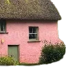 🏡