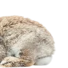 🐰