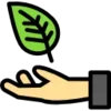 🍃
