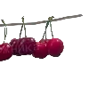 🍒