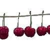 🍒