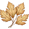 🍁