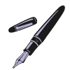 🖋️