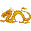 🐲