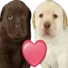 😘