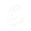 🔹