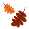 🍂