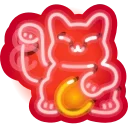 🐱
