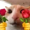 🌹