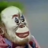🤡
