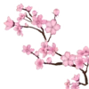 🌸