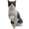 👍