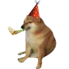 🎉
