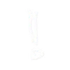 🔹