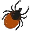 🕷️
