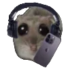 📲
